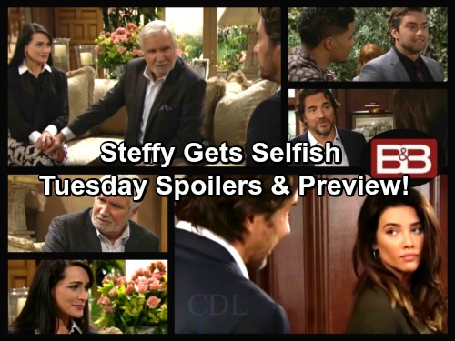 The Bold and the Beautiful Spoilers: Steffy Questions Co-CEO Move, Ridge Defends – Zende Vows to Prove His Love for Nicole