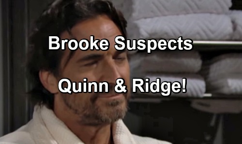The Bold and the Beautiful Spoilers: Brooke Grows Suspicious of Ridge and Quinn