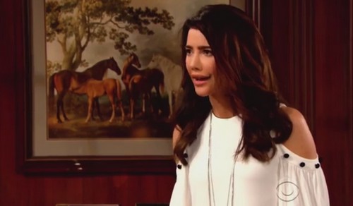 bold-steffy-crim