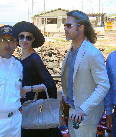 Brad Pitt and Angelina Jolie Purchase Wedding Rings -- One Step Closer to the Big Wedding!