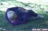 Brigitte Nielsen Drunk And Passing Out In A Public Park (Photos)