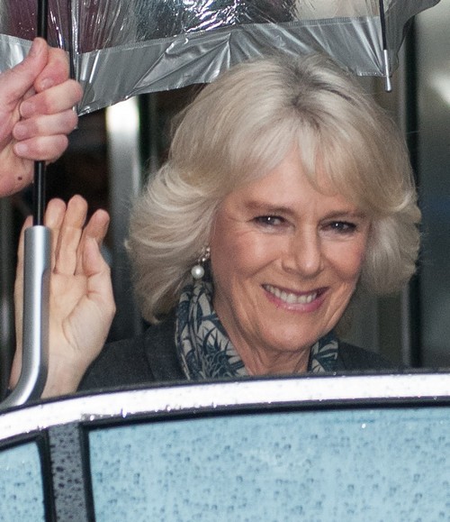 Camilla Parker-Bowles Found Drunk and Drugged By Prince Charles: Jealous of Kate Middleton's Triumph Down Under