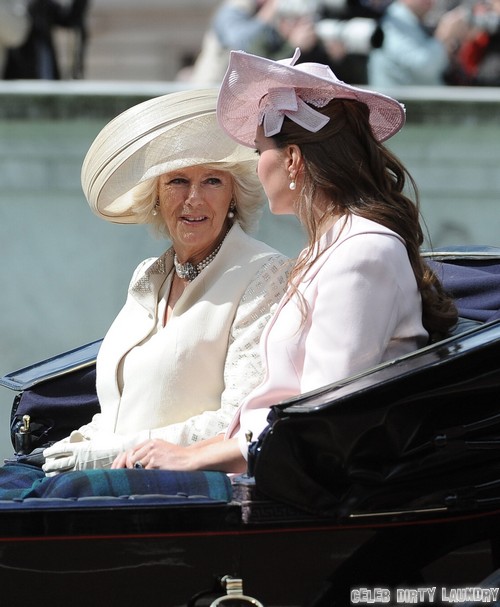 Kate Middleton Fights Camilla Parker-Bowles' Bullying Over Prince William Cheating - Asserts Her Place as Future Queen