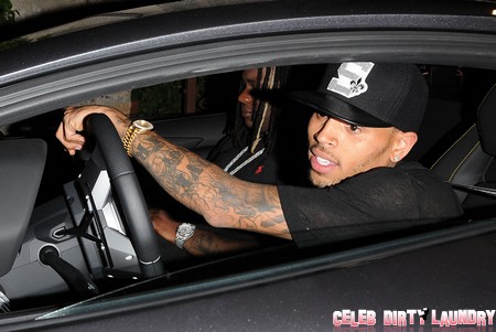 Chris Brown: Trouble Child Back In The Heat