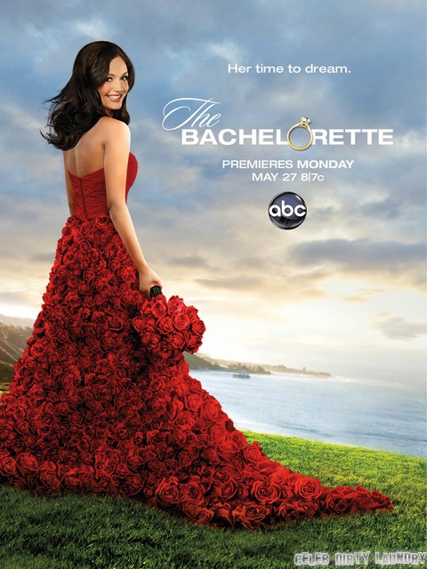 Desiree Hartsock The New Bachelorette – Not A Fame Whore Like Sean Lowe and Emily Maynard Desiree Hartsock The New Bachelorette – Not A Fame Whore Like Sean Lowe and Emily Maynard