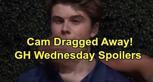 General Hospital Spoilers: Wednesday, September 4 – Liz Faces Crushing Andre Blow – Cam Dragged Away - Peter Challenges Robert
