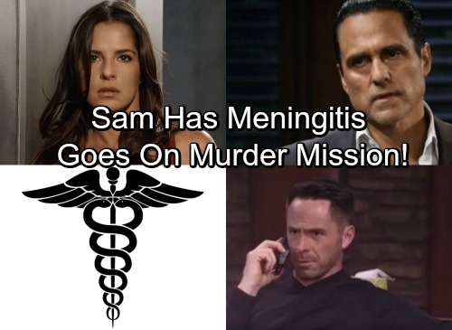 gh-sam-meninges-top