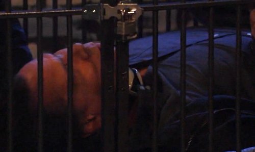 ‘General Hospital’ Spoilers: Week of Dec 19 – JaSam Baby Shower – Tom Murdered – Finn Experiments on Hayden – Lulu Wants Custody