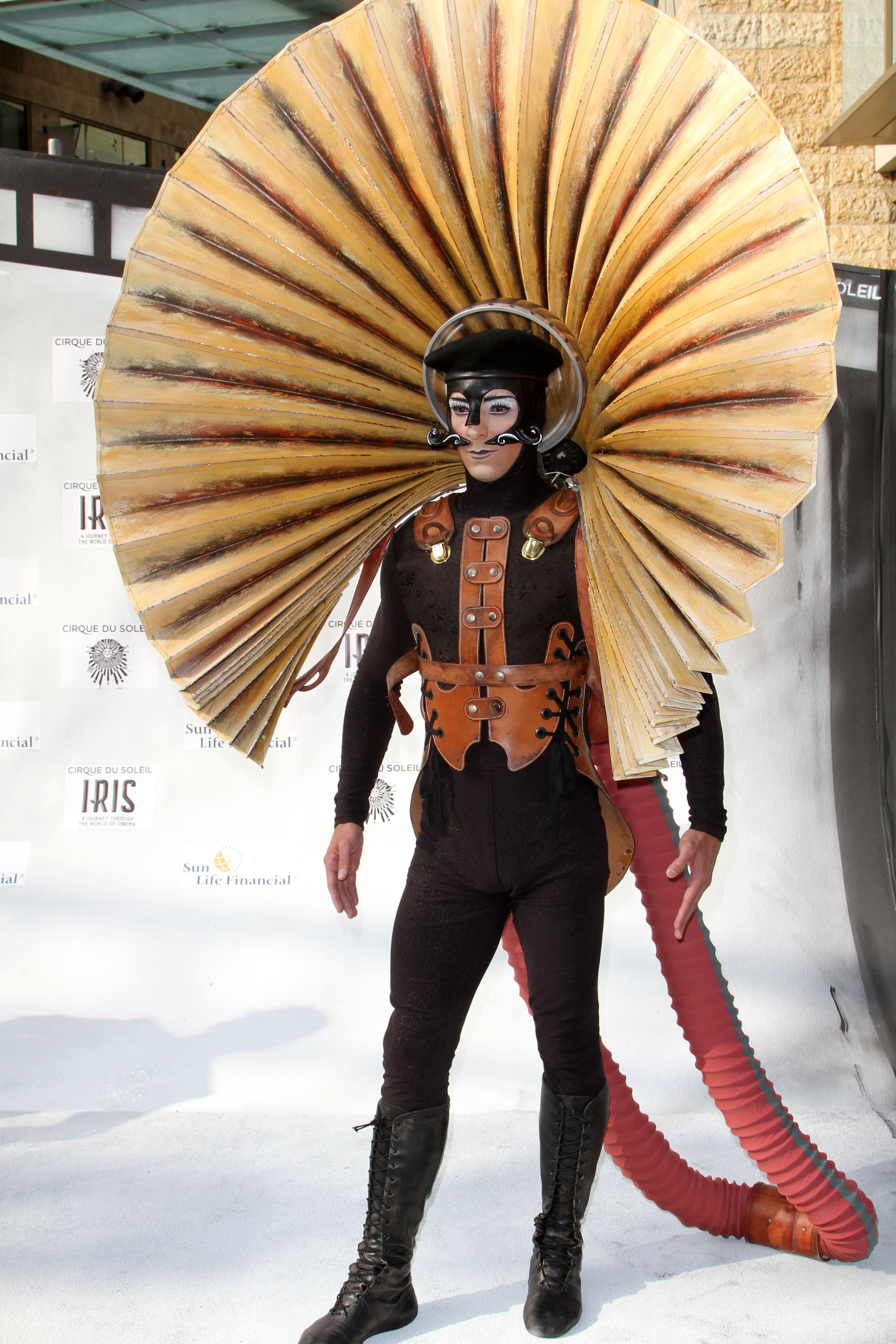 SO MANY Celebs At The Cirque du Soleil IRIS Premiere (Pics)