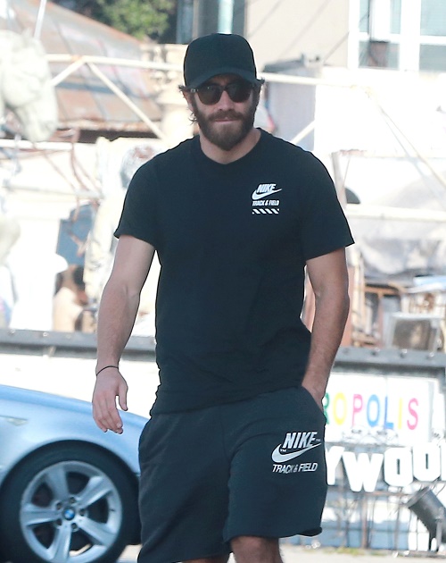 Jake Gyllenhaal Rekindles Dakota Johnson Romance: Couple Spotted On Sexy Dinner Date, Want Relationship Kept Secret?