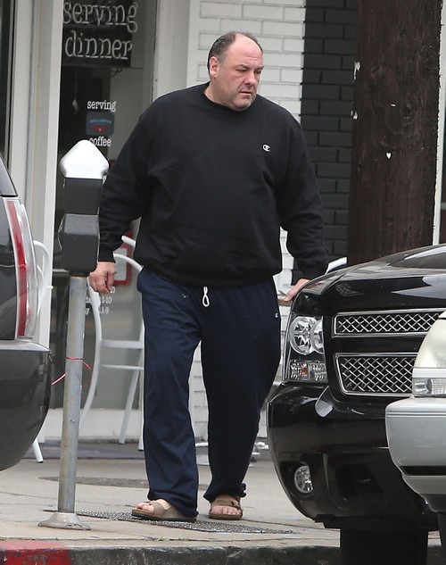 James Gandolfini's Death Caused By Chronic Cocaine Abuse – Led To Cardiovascular Disease and Untimely Fatal Heart Attack