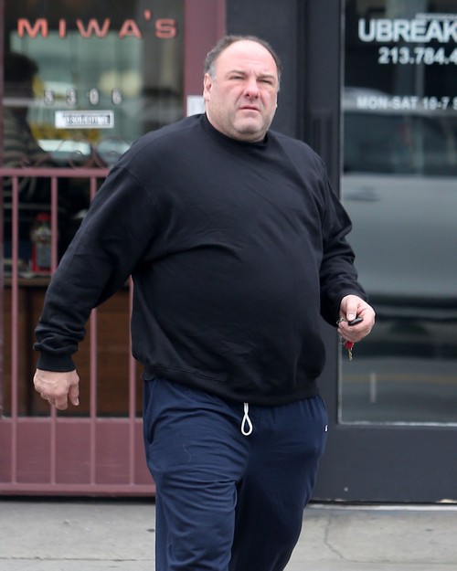 James Gandolfini Sex 6