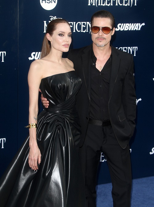 Brad Pitt and Angelina Jolie Divorce On Hold For New Olive Oil Business Venture?