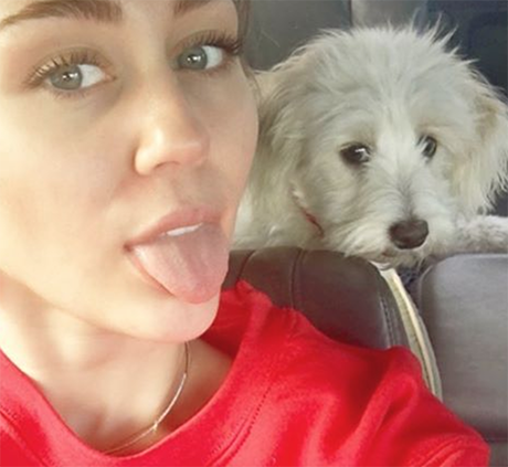 Liam Hemsworth Joins Miley Cyrus For Christmas: Plans To Propose In Front Of Miley’s Family, Make Romance Official?