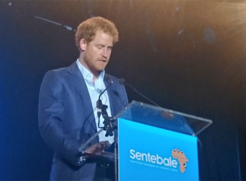 Prince Harry Follows In Princess Diana's Footsteps With Sentebale AIDS Charity Concert: Camilla Parker-Bowles Absent