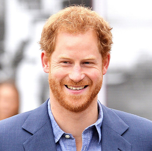 Prince Harry Not Dating: Focuses On Royal Responsibilities And Making Princess Diana Proud – Gives Up On Marriage Altogether?
