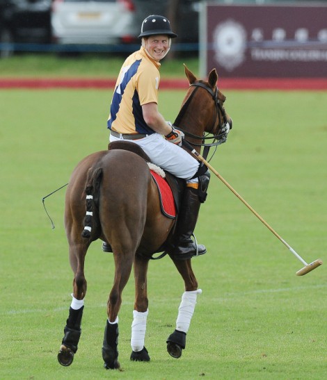 Prince William Plays Polo With Prince Harry As Kate Middleton Hints Baby's Gender (PHOTOS) 0617