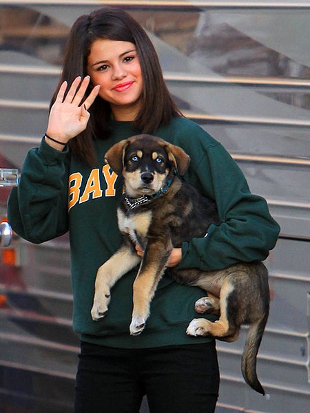 Selena Gomez Looking For A New Companion: Not Justin Bieber