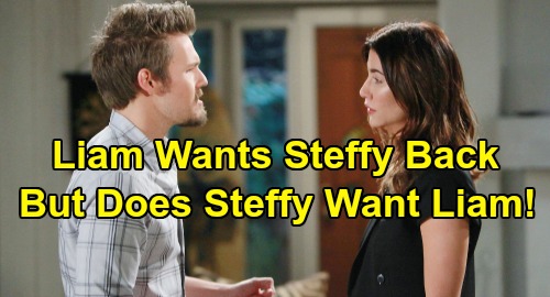 The Bold and the Beautiful Spoilers: Liam and Hope Split-Liam Wil Steffy terug, maar wil Steffy echt meer 'Steam'?'Steam'?