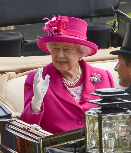 Queen Elizabeth's Horse Fails Drug Test - Doped With Morphine - She Involved In This Royal Equine Scandal? Queen Elizabeth's Horse Fails Drug Test - Doped With Morphine - She Involved In This Royal Equine Scandal?